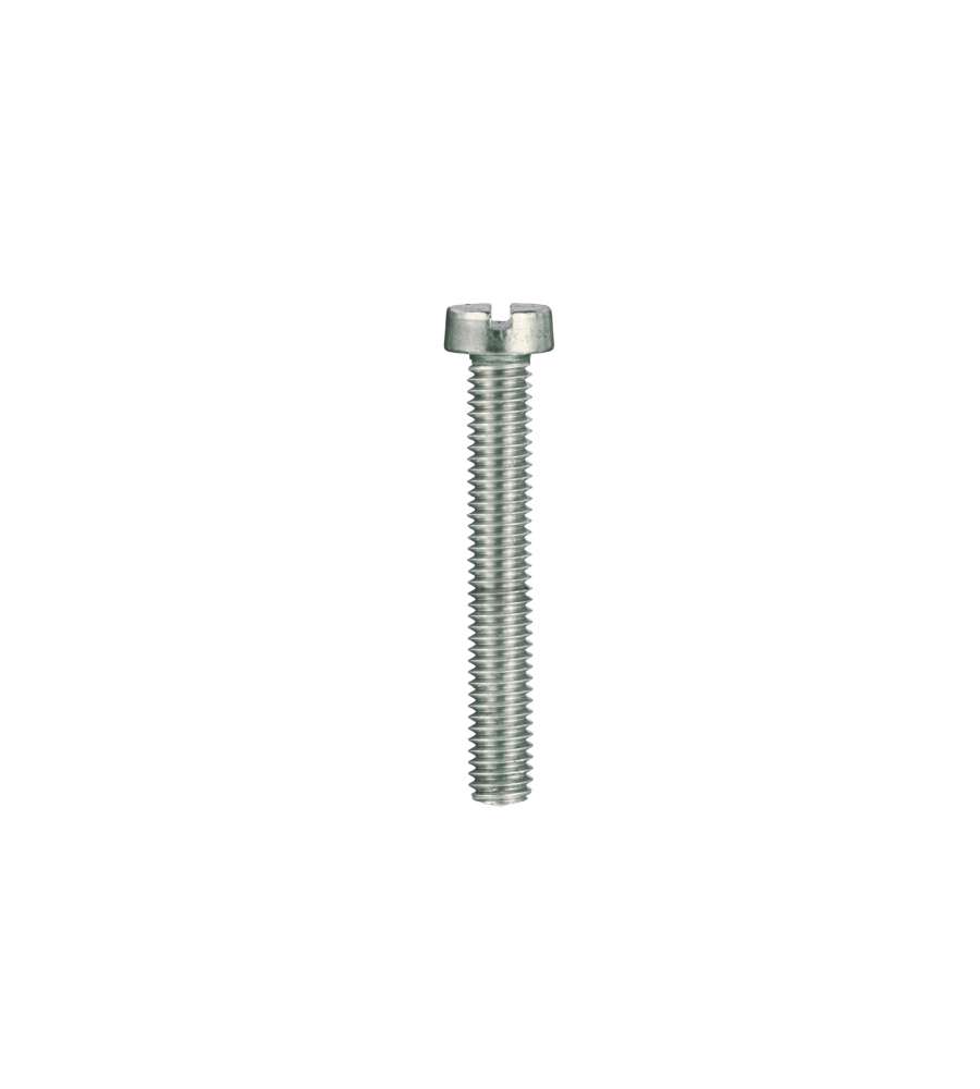 Viti per metallo testa cilindrica Inox 5 x 60