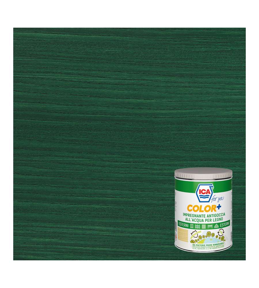 Color e Impregante per legno verde 2,5