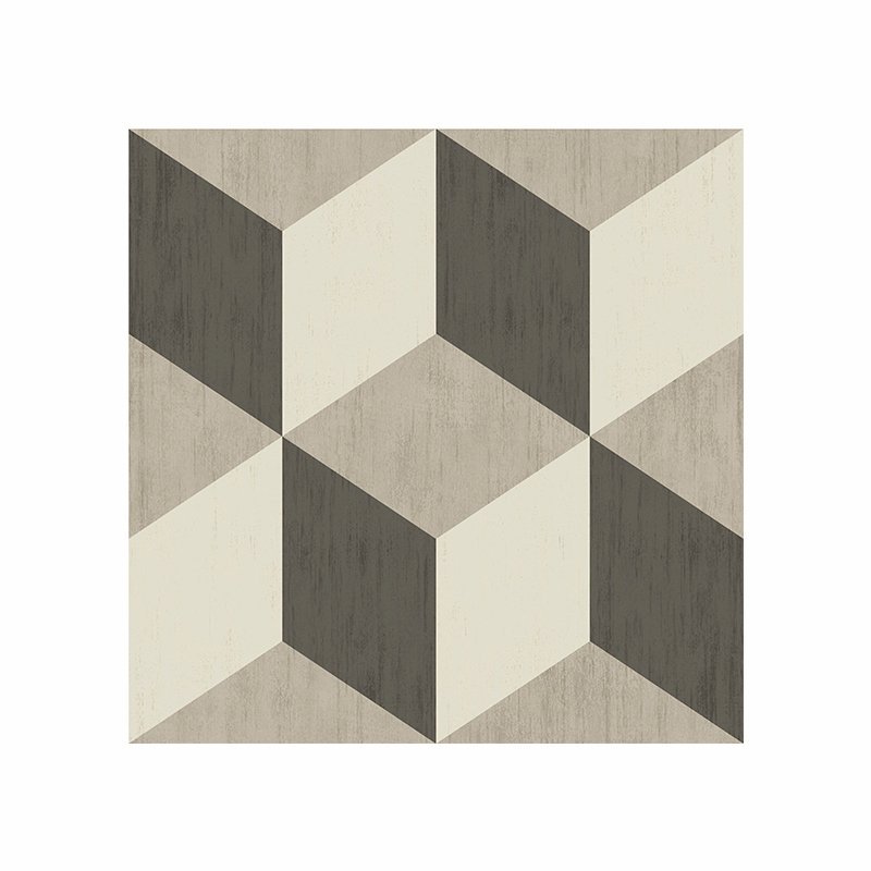 Gres Porcellanato Effetto Cemento Naturale 20x20 Roman Ornamenta - Gammadue