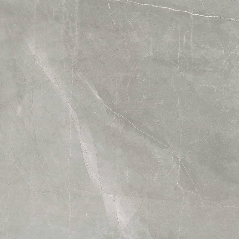 Gres Porcellanato Effetto Marmo Lucido 60x60 Amani Grey Timeless - Florim