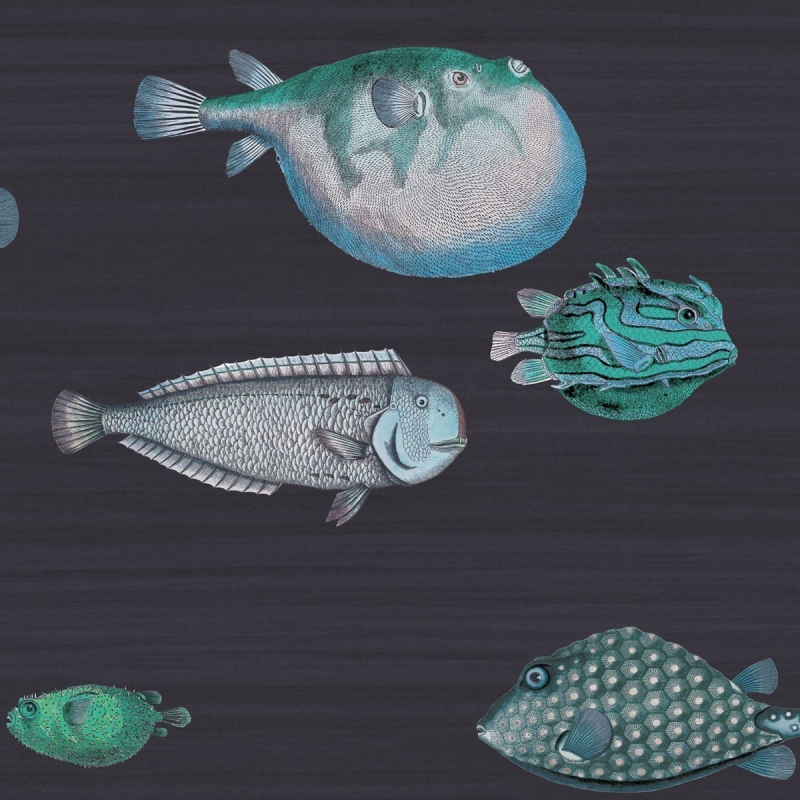 Carta da parati Acquario Cole and Son