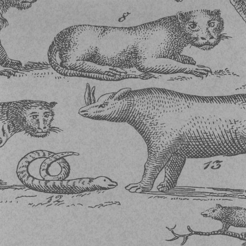 Carta da parati Ark Andrew Martin