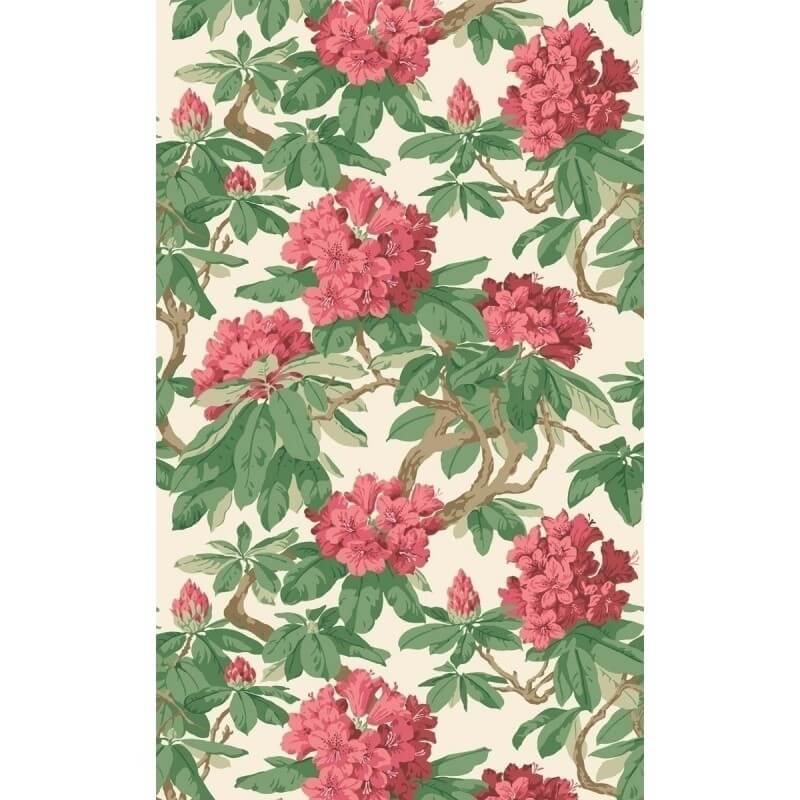 Carta da parati Bourlie  Cole and Son