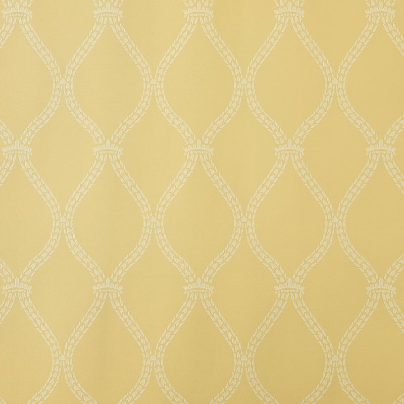 Carta da parati Crivelli Trellis Farrow and Ball