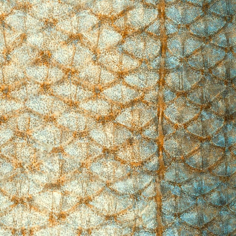 Carta da parati Ecailles Curious Collections