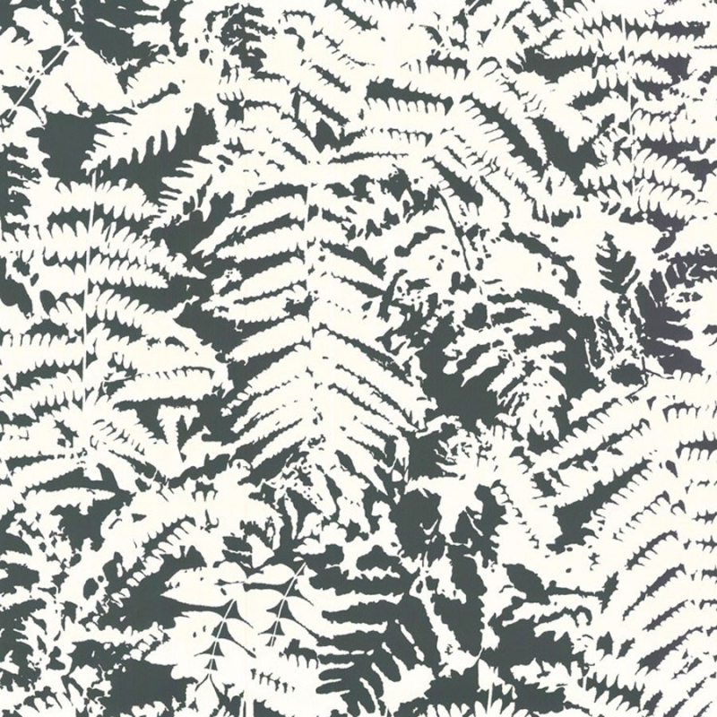 Carta da parati Fern Little Greene