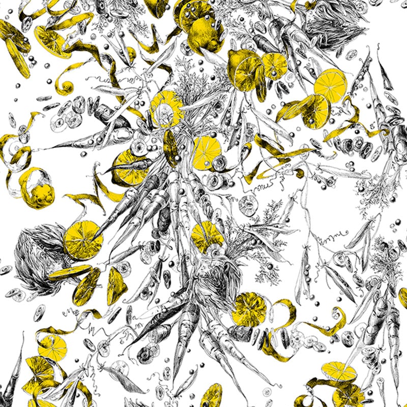 Carta da parati Feu d'Artifice  Edmond Petit