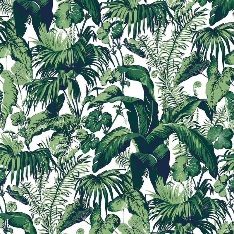 Carta da parati Feuillage  Edmond Petit