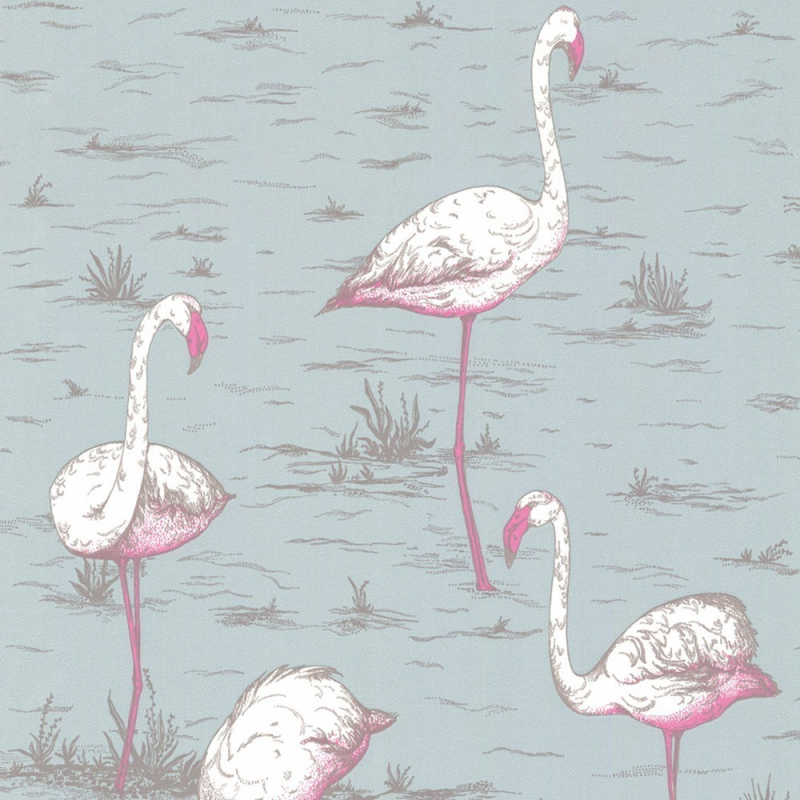 Carta da parati Flamingos 1  Cole and Son