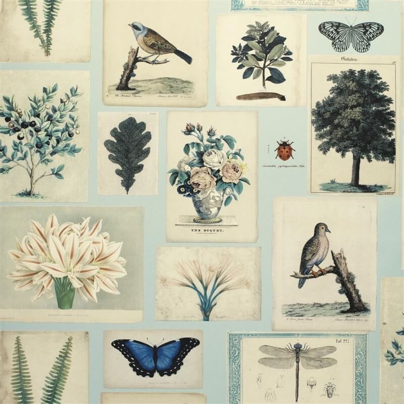 Carta da parati Flora And Fauna  John Derian