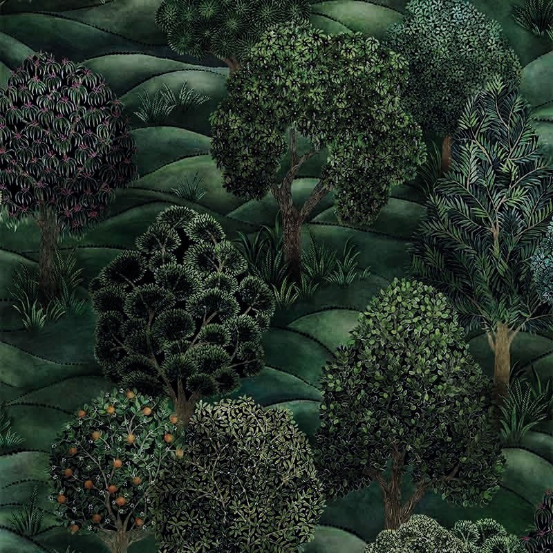 Carta da parati Forest  Cole and Son