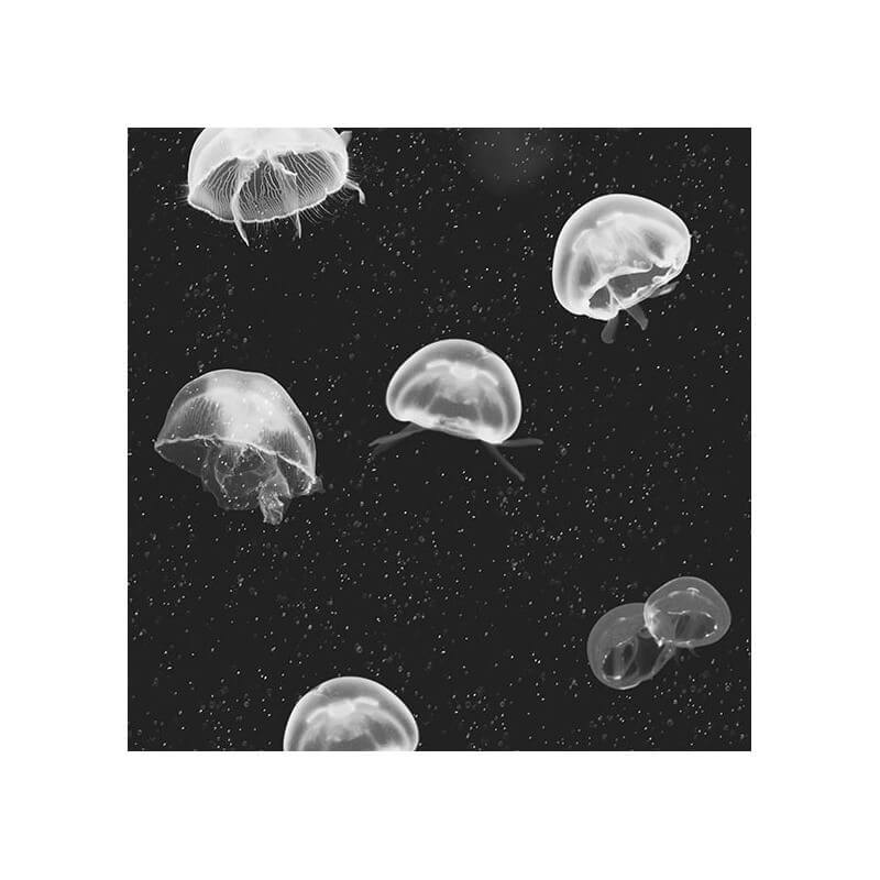 Carta da parati Jellyfish  Coordonné
