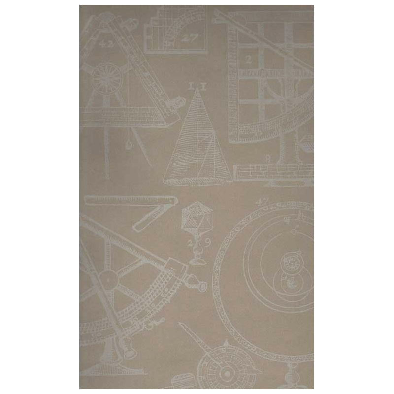 Carta da parati Newton Andrew Martin