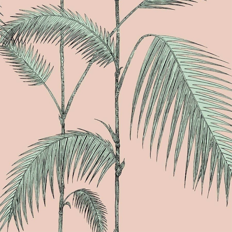 Carta da parati Palm Leaves  Cole and Son