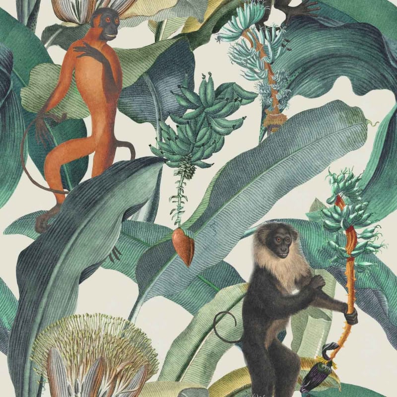 Carta da parati panoramica Bermuda  Mindthegap