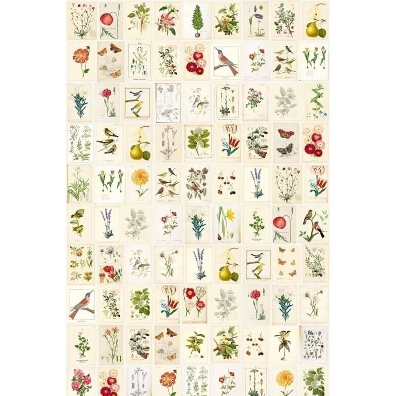 Carta da parati panoramica Botanical Pip Studio