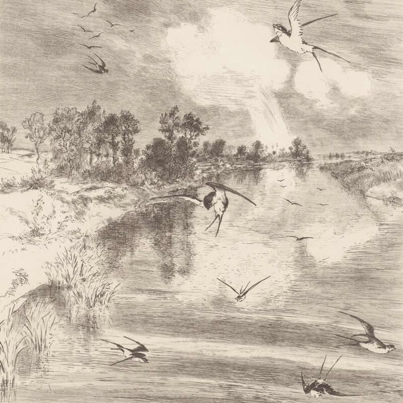 Carta da parati panoramica Mystery  Eijffinger