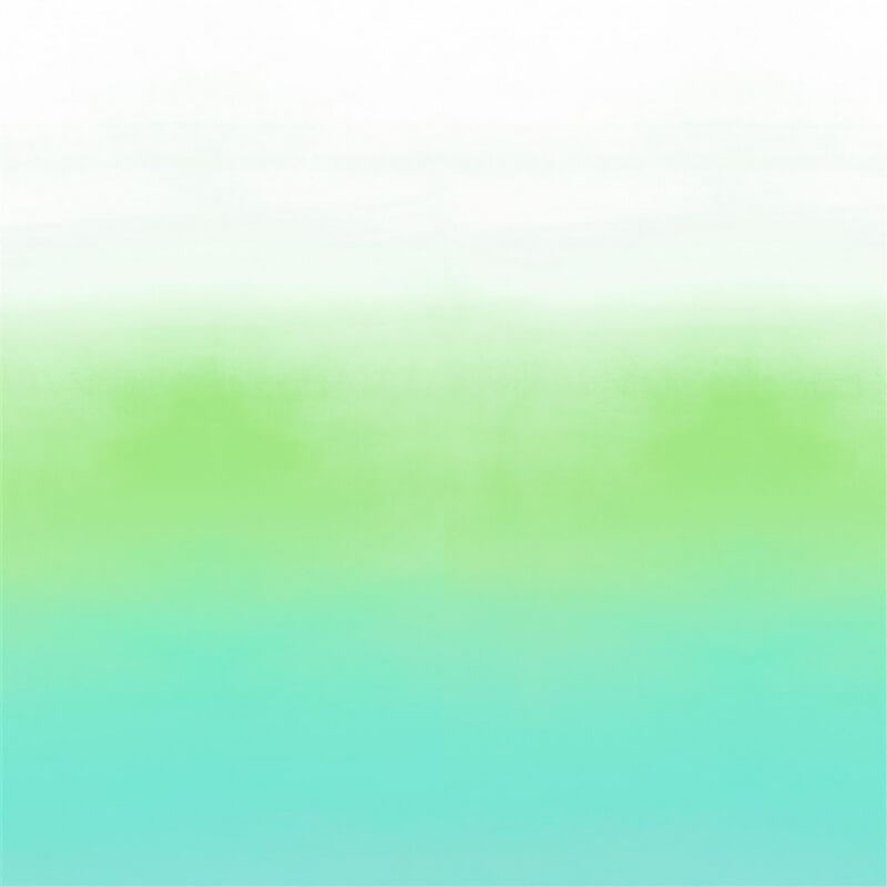 Carta da parati panoramica Savoie  Designers Guild