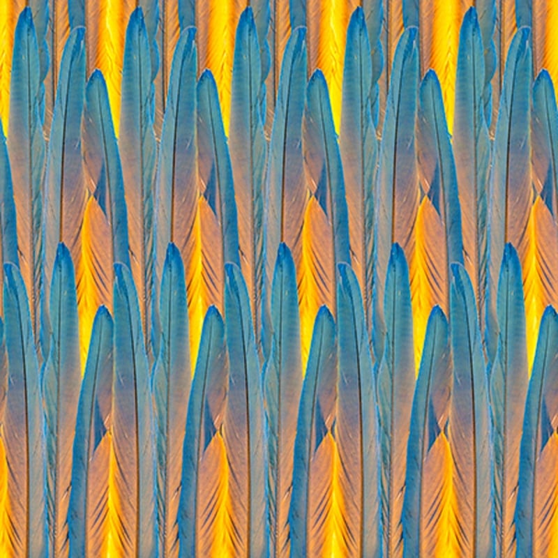 Carta da parati Remige Curious Collections