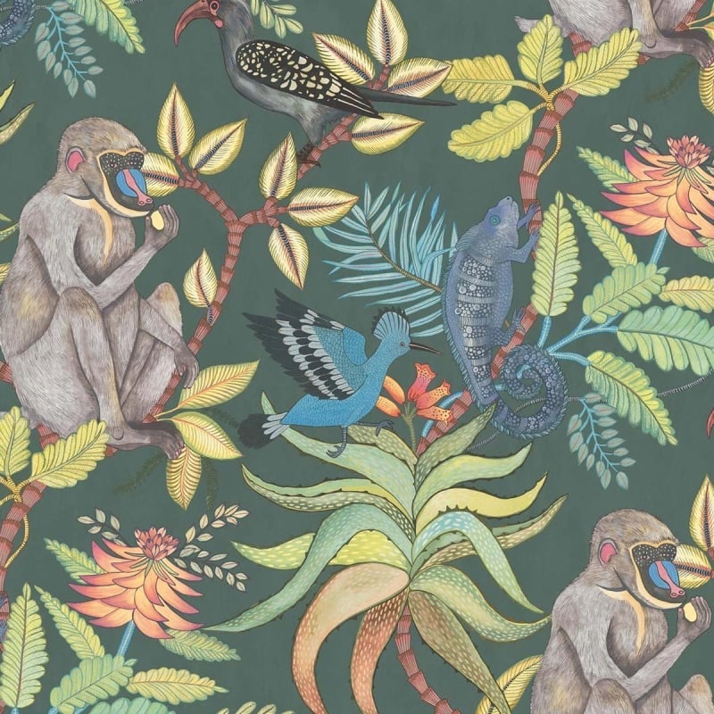 Carta da parati Savuti  Cole and Son