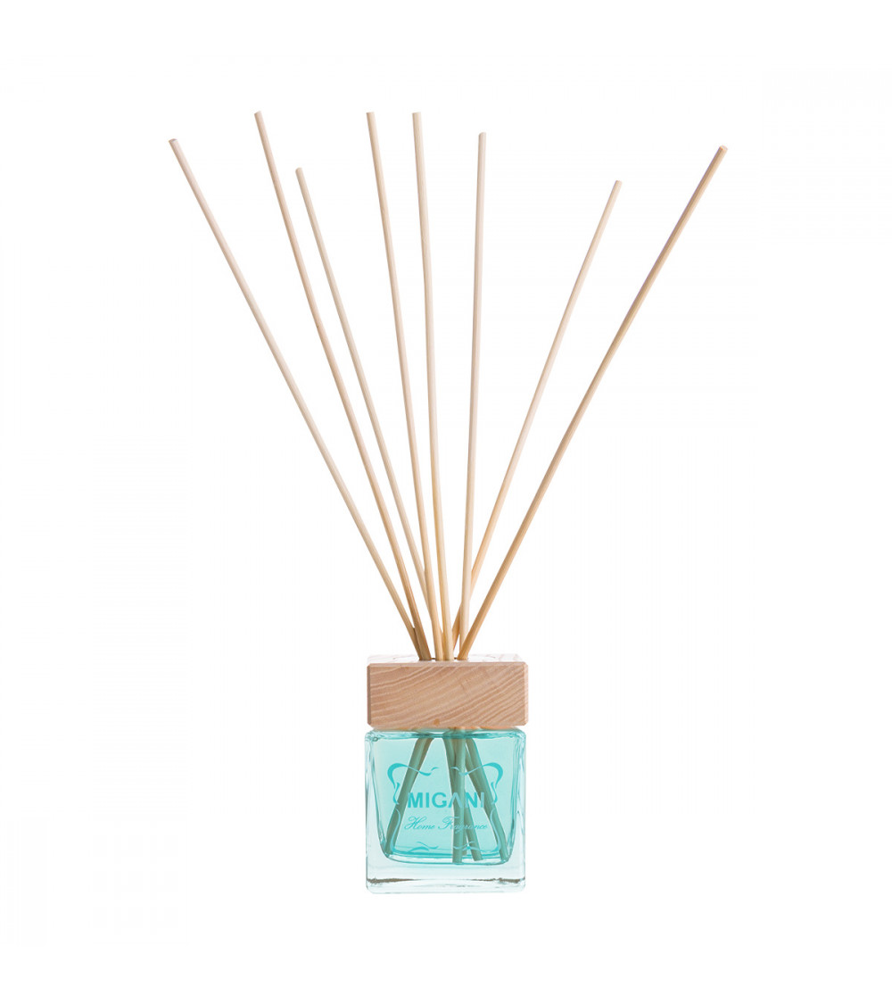 Cubo Diffusore Fragranze 2500ml