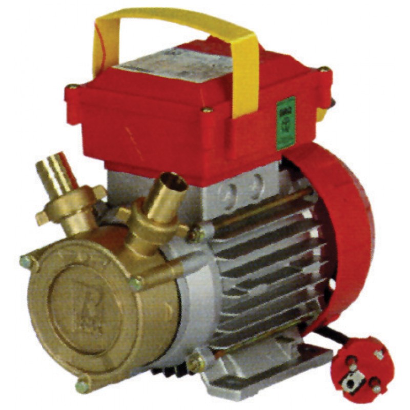 ELETTROPOMPA TRAVASO ROVER 30MM 0,9HP AUTOADESCANTE