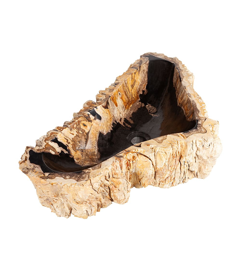 Lavandino fossile lungo