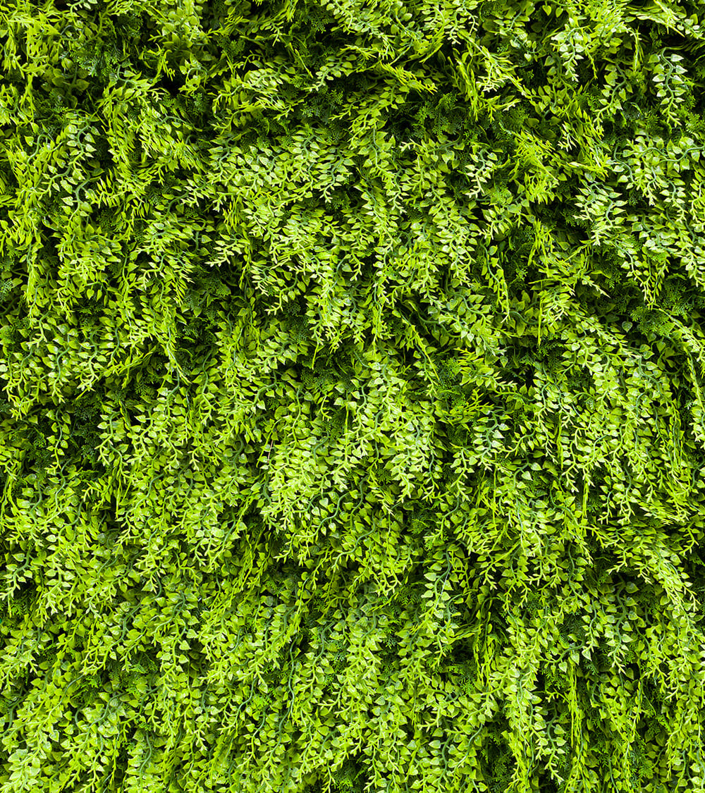 Pannello Verde Classico 100x100 cm