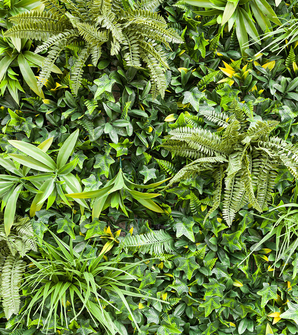 Pannello Verde Giungla 100x100 cm