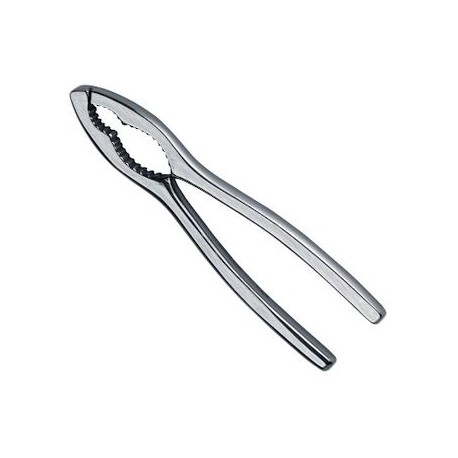 Schiaccianoci in acciaio Eva collection