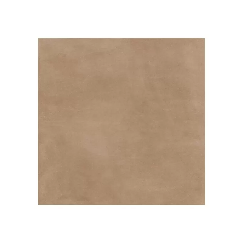 60X60 SLOW COCCIO RT-MFSL