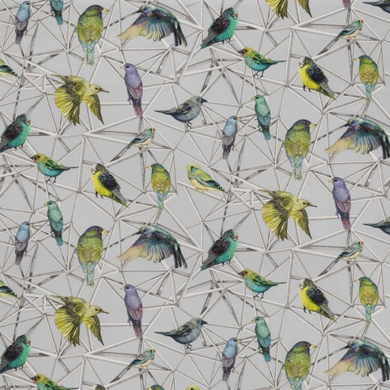 Tessuto Aviary Osborne and Little