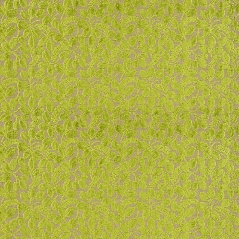 Velluto Calaggio  Designers Guild