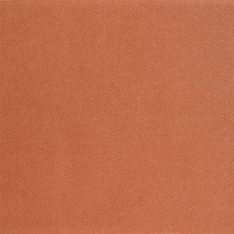 Velluto de coton Varese  Designers Guild